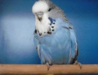 ws-babys2012.008.jpg